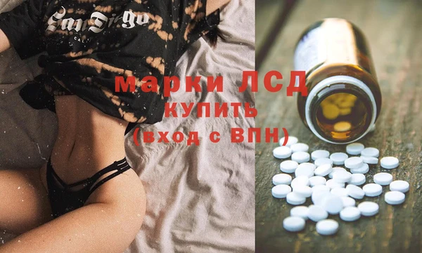 молекула духа Арсеньев