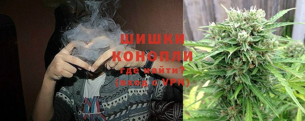 молекула духа Арсеньев